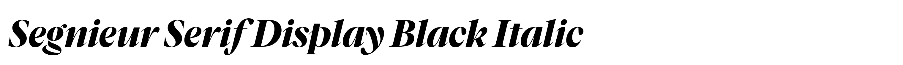 Segnieur Serif Display Black Italic